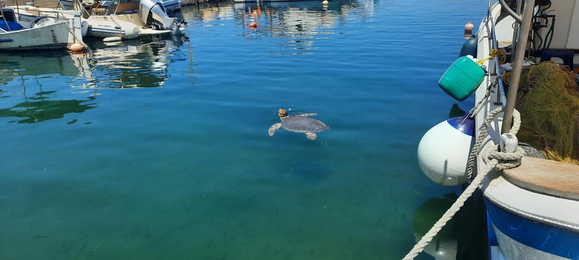 Poseidon Suites Hotel Stavrós Buitenkant foto